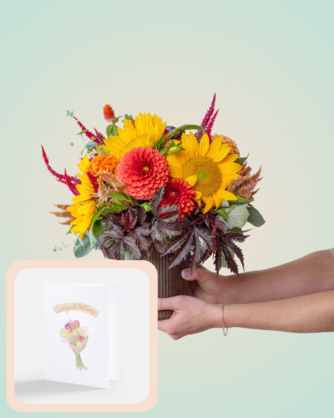 Standard "Bright" Arrangement