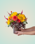 Standard "Bright" Arrangement