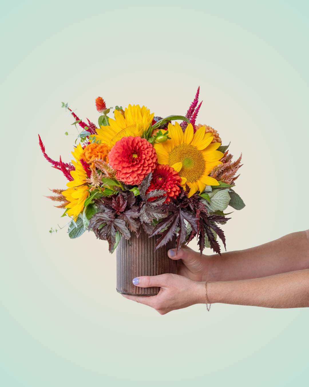 Standard "Bright" Arrangement
