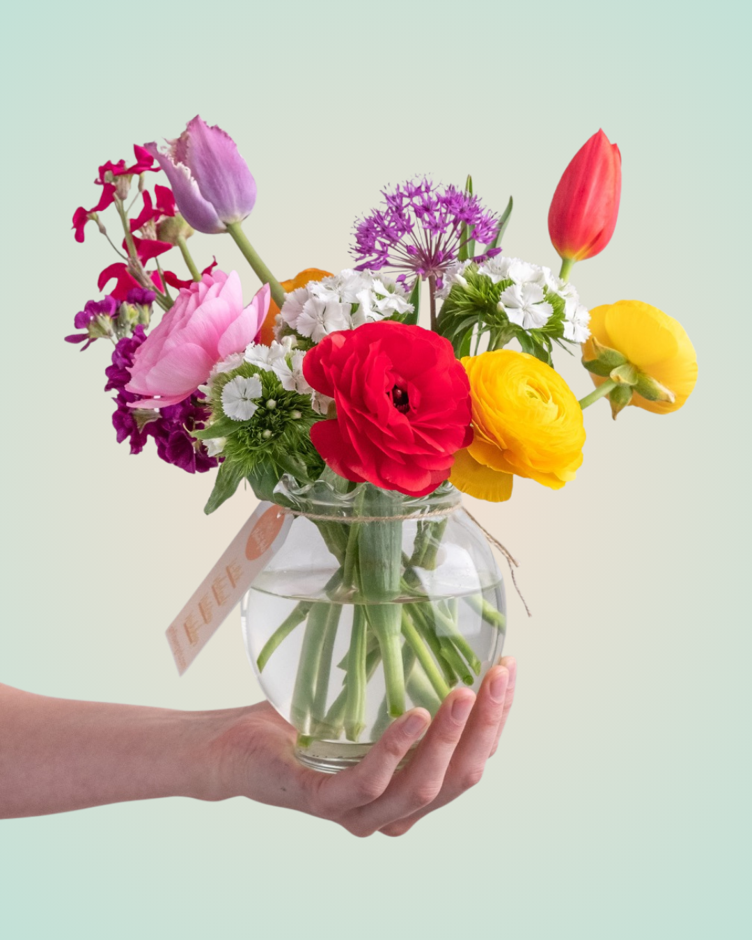 Standard "Bright" Arrangement